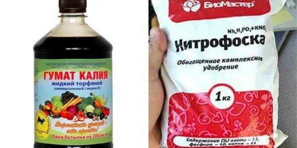 Гумат калия для подкормки томатов. Удобрение для томатов гумат калия. Удобрения для подкормки помидор гумат калия. Удобрение гумат калия жидкий. Гуматы для рассады помидор