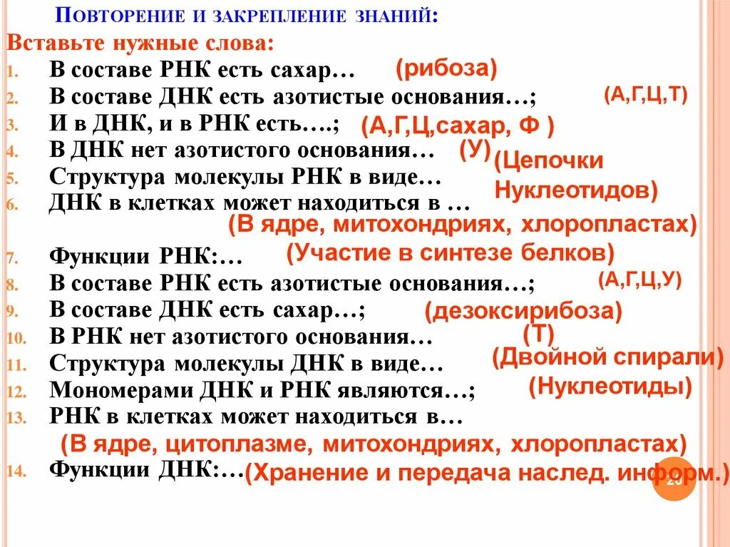 И В ДНК И В РНК есть. ДНК И РНК их функции. Роль ДНК И РНК. ДНК В Т РНК.