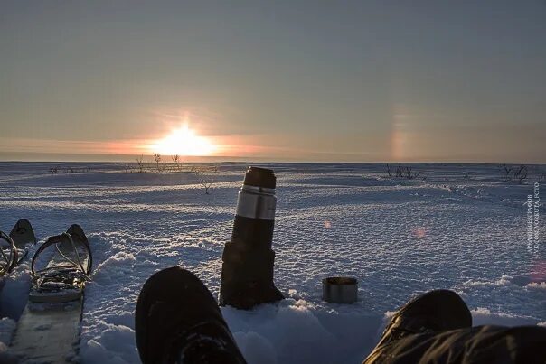 Гало Воркута. Гало Воркута Тиман. Радуга в Воркуте. ТВ гало Воркута новости. Cold 30