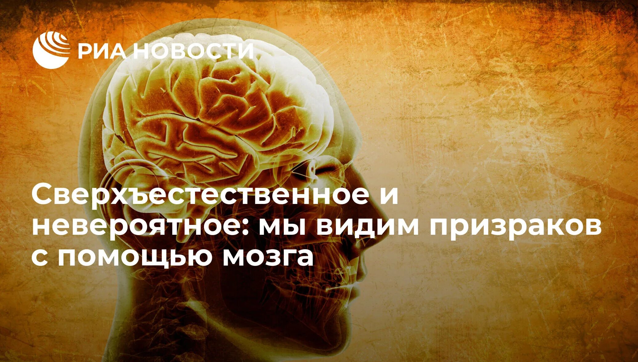 Японский тест на мозг. Тест на старение мозга. Японский тест на старение мозга. Мозг человека с социофобией. Тест на старение мозга картинки.