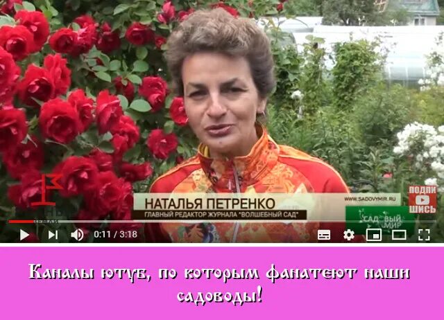 Садовый мир с натальей. Садовый мир с натальей петренко. Канал натальи петренко. Садовый клуб с натальей ютуб. Садовый клуб с натальей ютуб.