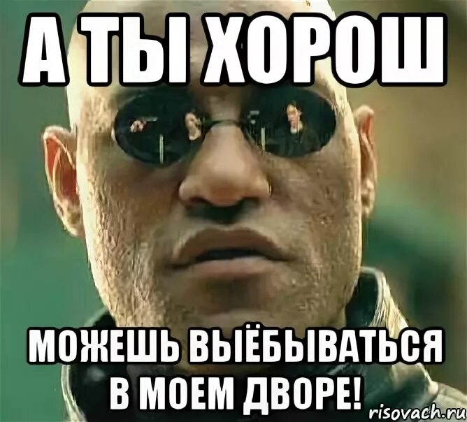 ДУМАЛИ ЭТО РОФЛ - фотографии