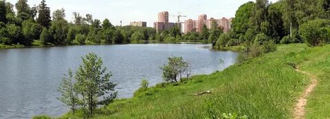 Щелковском районе подмосковья