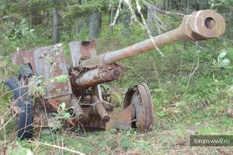Нашел боевой
