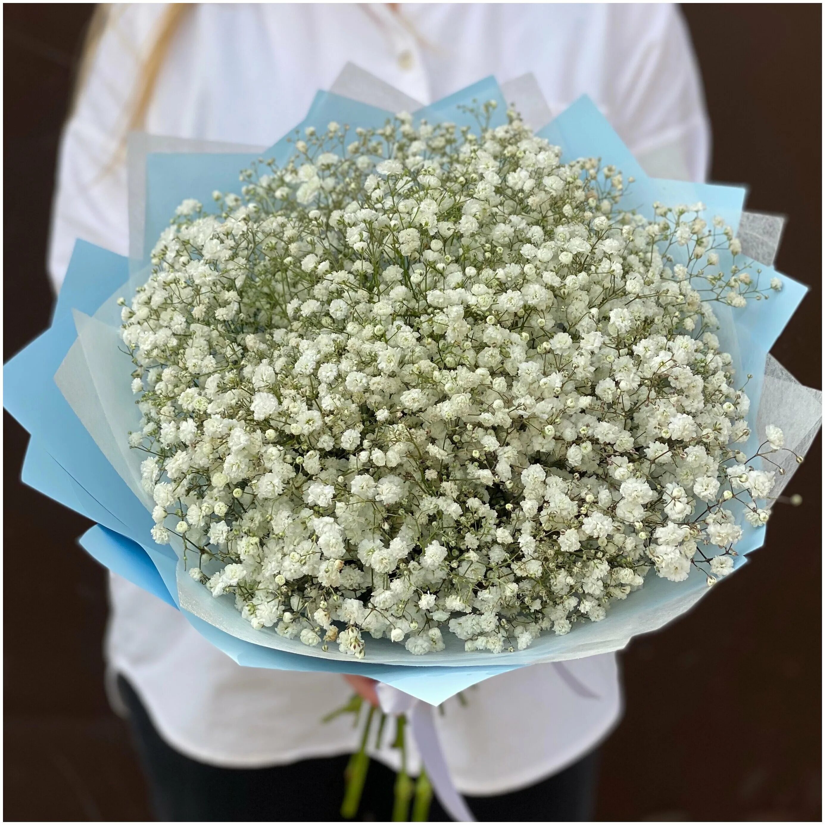 гипсофила букет невесты с зеленью 4. гипсофилы сколько стоят дома. гипсофилы за 2100. гипсофила тиффани. гипсофила монобукет.