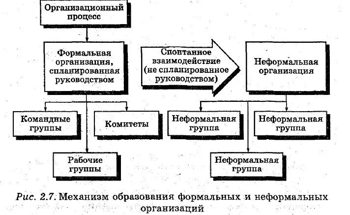 Основное отличие формальных и неформальных организаций. Механизм формальных и неформальных организаций. типы формальных групп в менеджменте. виды организаций формальные и неформальные.