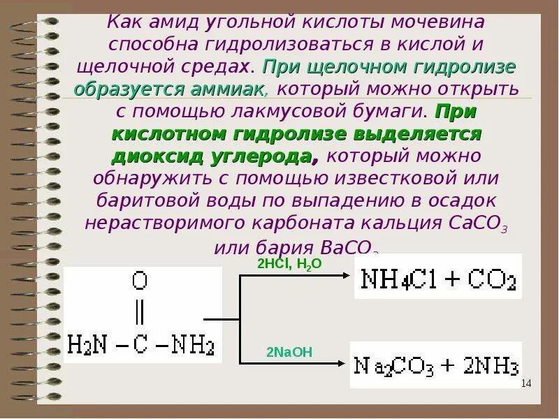 Гидролиз мочевины в щелочной среде. Щелочной и кислотный гидролиз мочевины. При кислотном гидролизе. Реакция гидролиза мочевины. При щелочном гидролизе 6 г