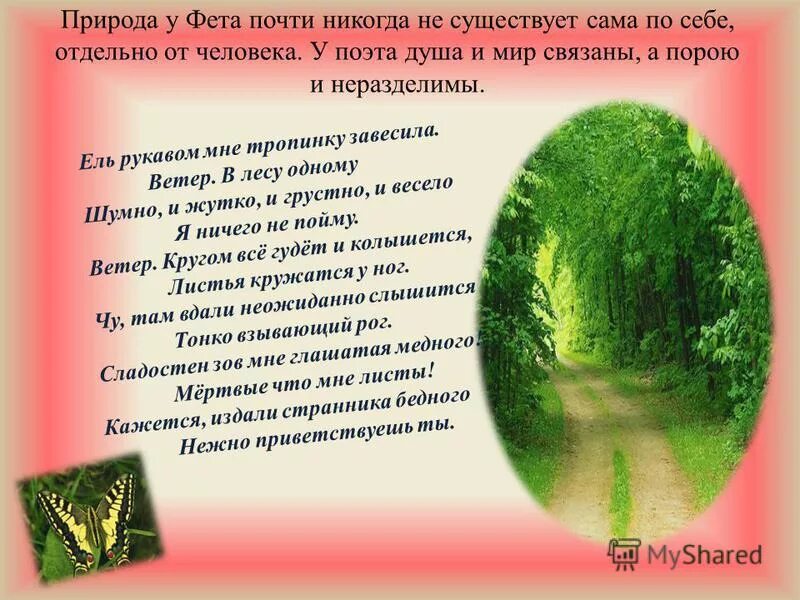 Стих фета ель рукавом мне тропинку завесила. Анализ стихотворения фета ель рукавом мне тропинку завесила. Фет ель рукавом мне тропинку завесила. Афанасий афанасьевич фет ель рукавом мне тропинку завесила. Стих ель рукавом мне тропинку завесила.