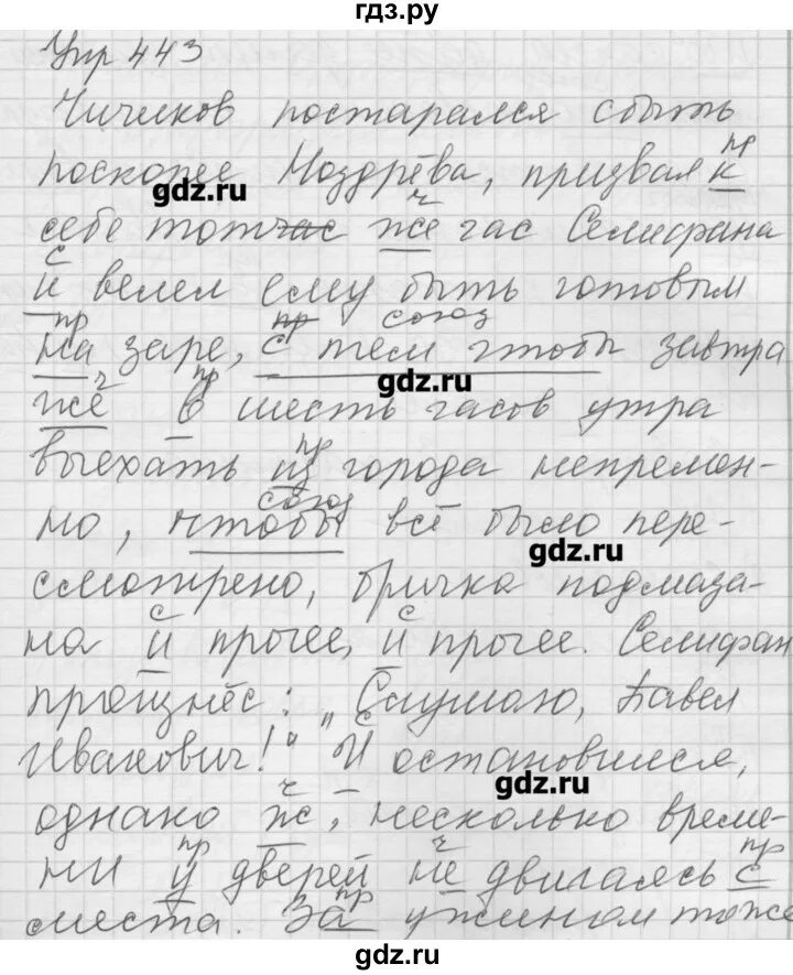 Русский язык 7 класс упражнение 443. Русский язык седьмой класс упражнение 443. Упражнение 443. Упражнение 443 7 класс русский.