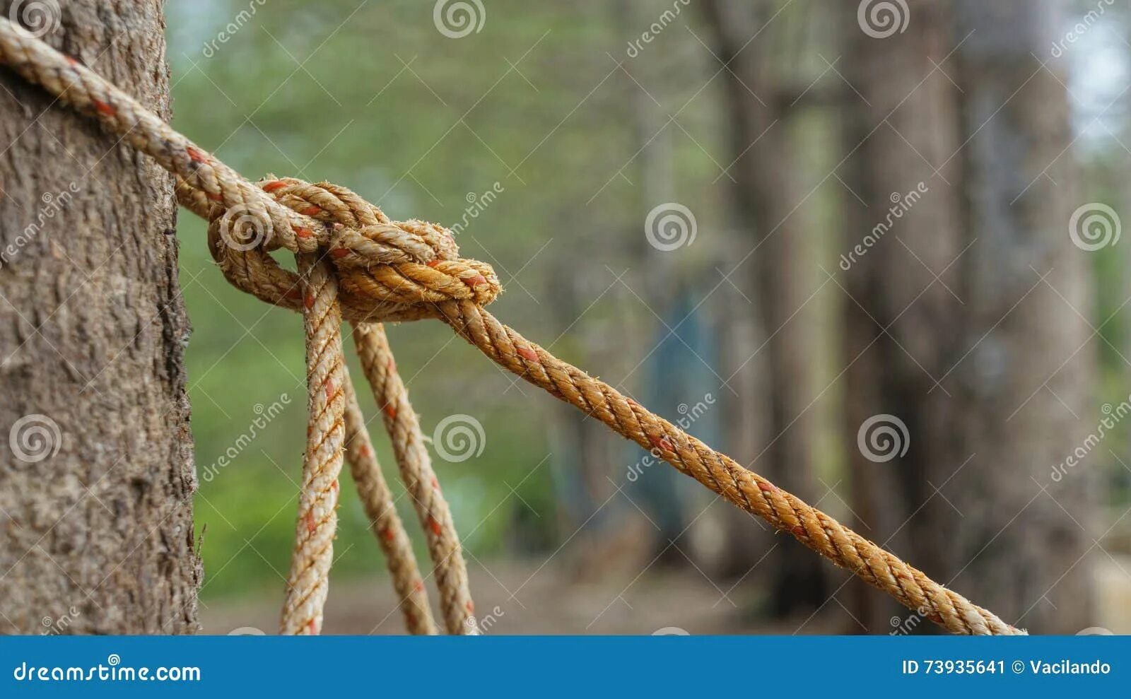 Tied round. Веревка вокруг дерева. Веревка вокруг ствола дерева. По стволу с веревкой. Столб для детей с веревкой.