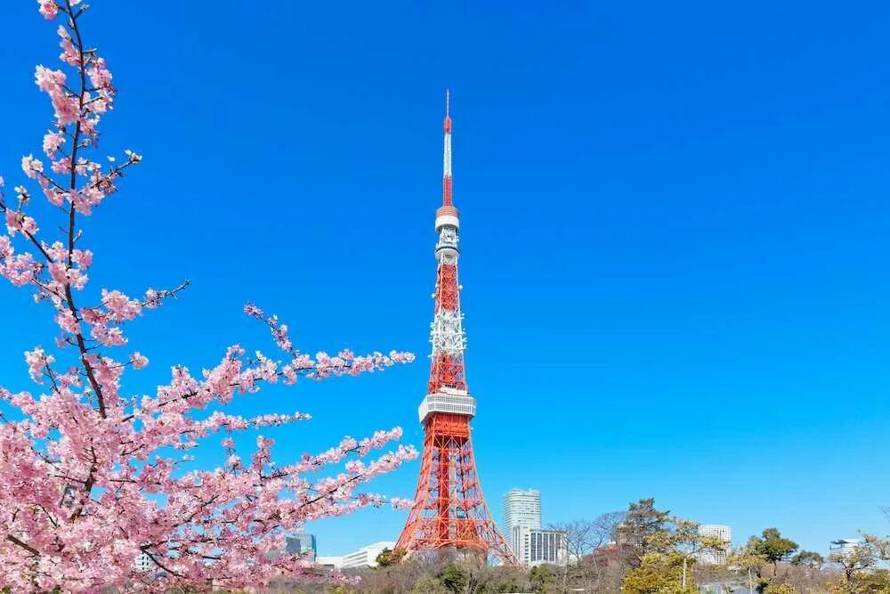 Tokyo com. Телебашня Токио. Телевизионная башня Токио. Токийская башня в Японии. Япония Токио телебашня.