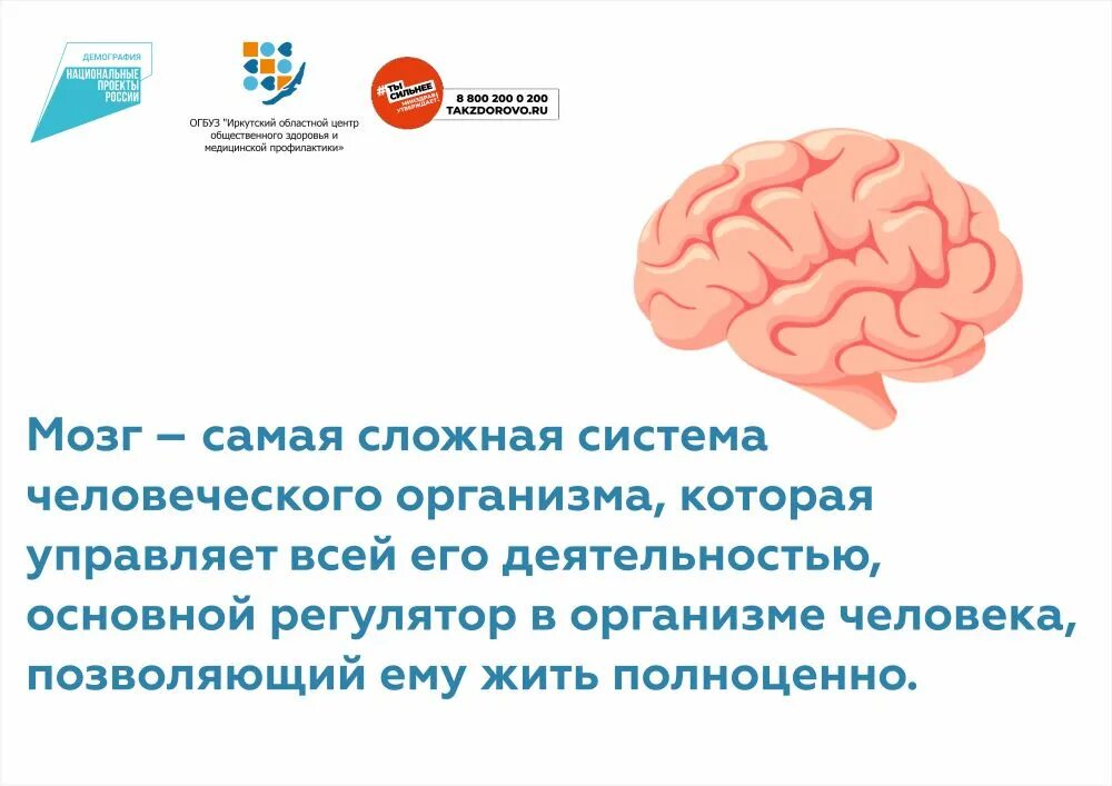 Когда день мозгов. Неделя сохранения головного мозга. Неделя сохранения здоровья головного мозга. Всемирный день мозга.