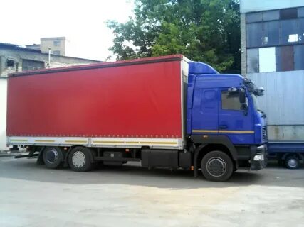 Тонник