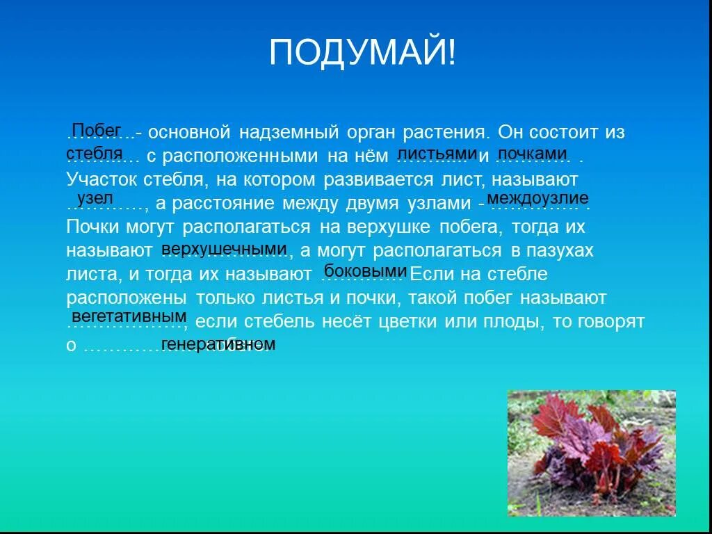 Боковыми называют. Основной надземный орган растения. Побег основной надземный орган растения. Основной надземный орган растения он состоит из. Сложный надземный орган растения.