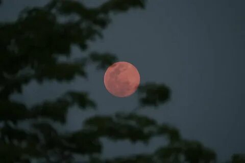 Почему нет луны на небе сегодня 2024
