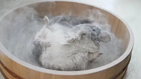 Песок для купания