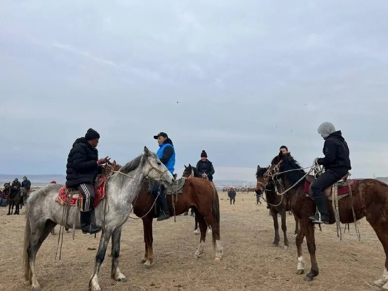 мерген донгак герой россии министерство обороны. телеграмм тыва. тува 24. сотрудники дпс тува. прямая трансляция тува 24.