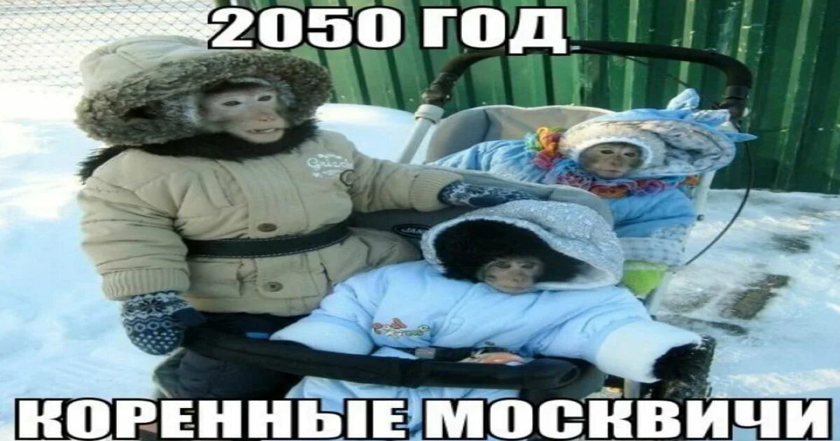 классный человек ребенок. 2050 год. дети 2050. китайские дети.