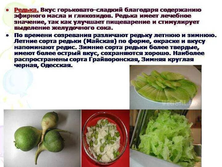 Польза зеленой редьки. Чем полезна редька зеленая. Редька имеет вкус и содержит. Чем полезна редька для организма. Чем полезна зелёная редька для организма.