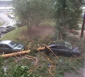 Погода димитровград ульяновская