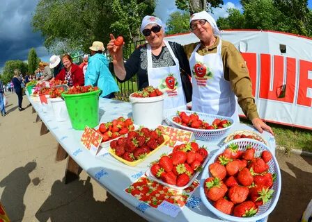 Фестиваль клубники балаково