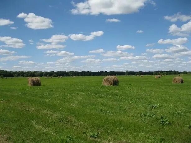 Аренда земельных паев. Земельный Пай. Земельный Пай фото. Аренда земли. Земельные Пай в малой елге.