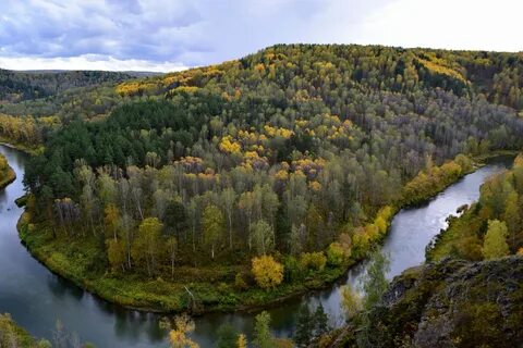 Река бердь