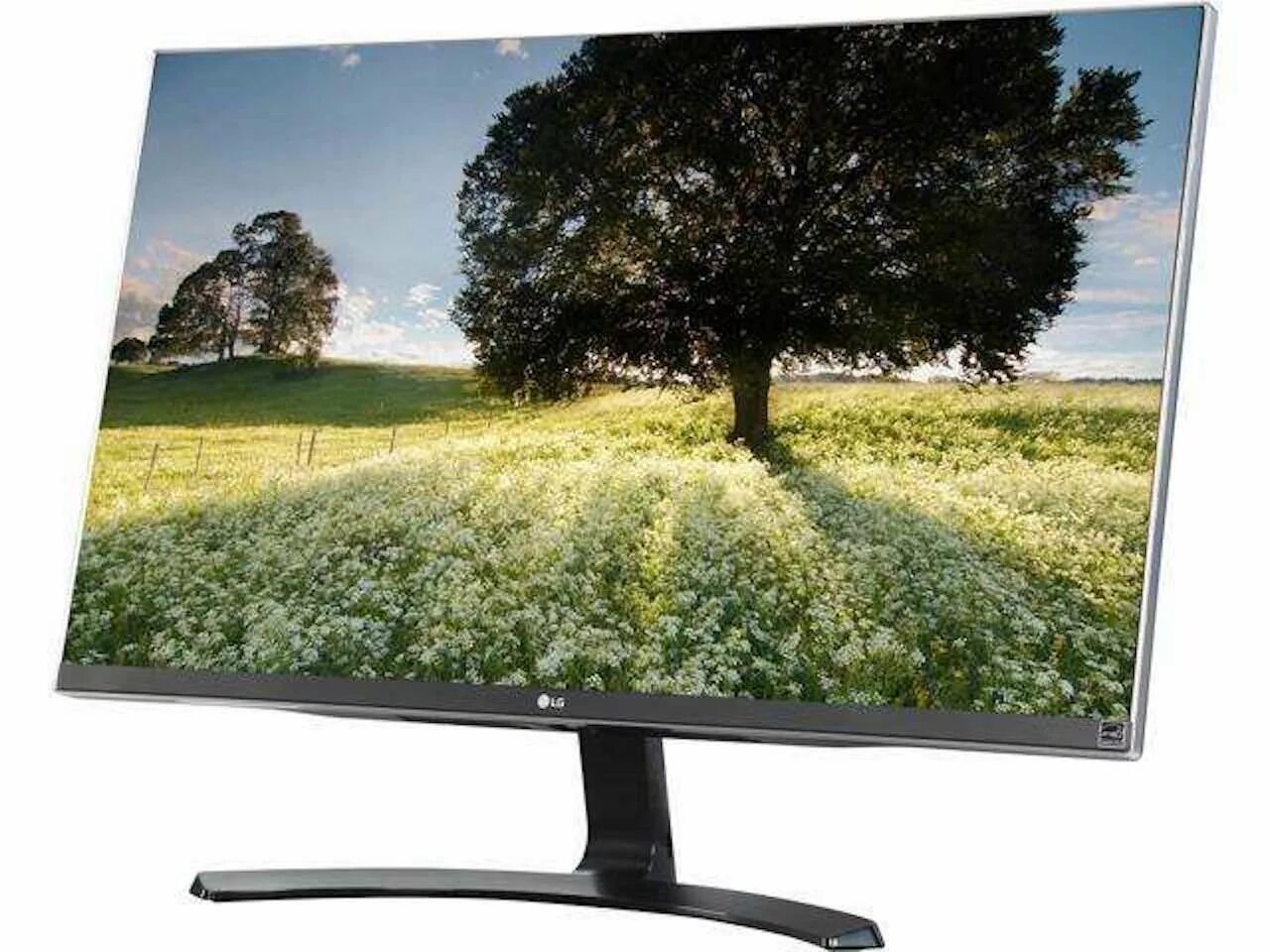 Экран lg 32. Монитор LG 22mk600m. Монитор led LG 27bk550y 27". Монитор LG 24gl650-b. LG 24bk550y-b.