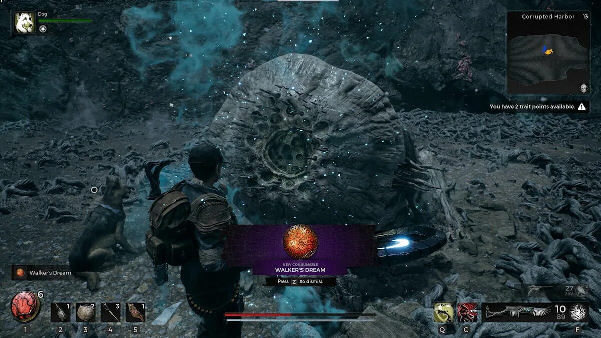 Водная арфа remnant 2. Remnant 2 игра. Remnant 2 второй скилл. Remnant 2 дата выхода. Разлом бездны remnant 2.