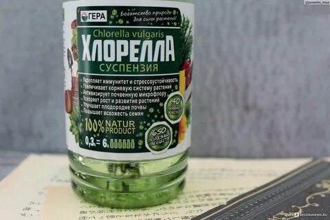 Как принимать хлореллу в таблетках