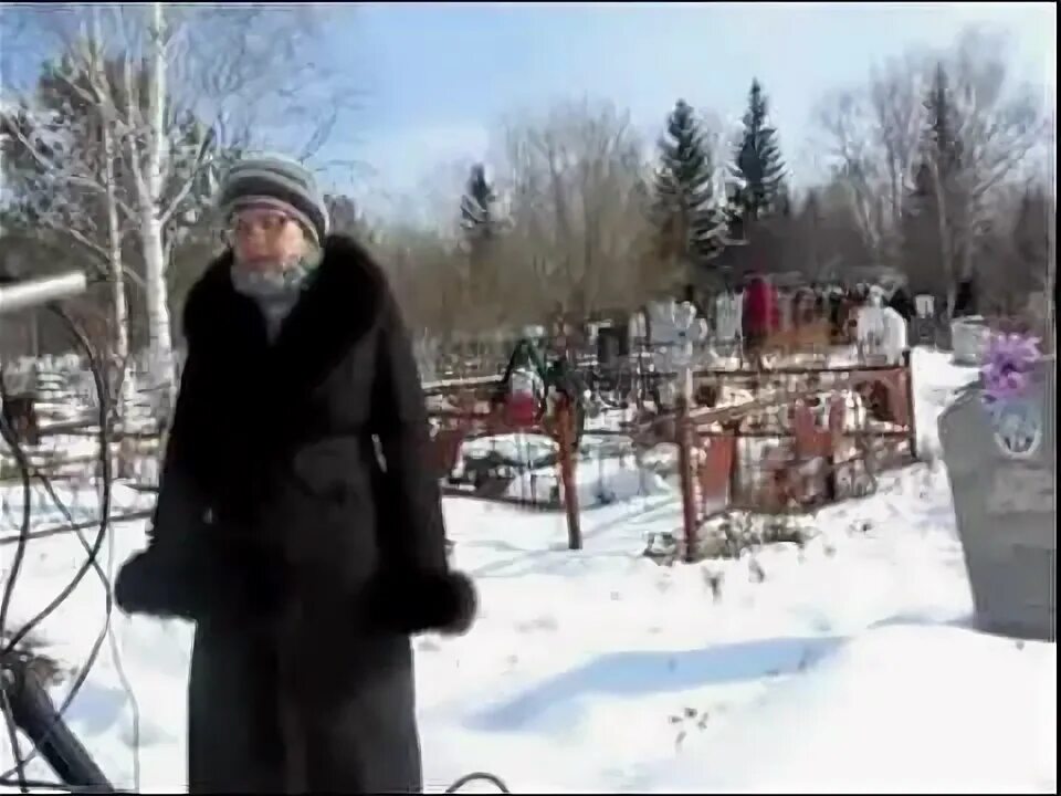 12 историй видео