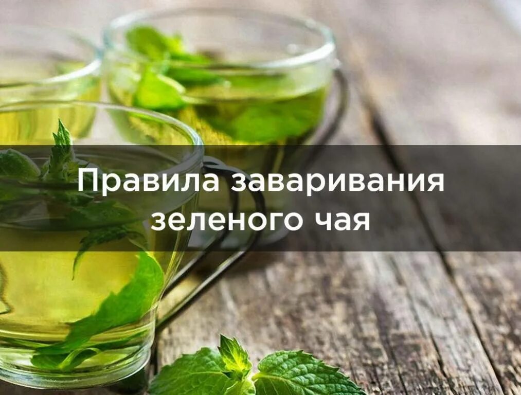 Как правильно заваривать зеленый чай листовой. Как правильно заваривать зеленый чай. правильная заварка зеленого чая. правила заваривания зеленого чая. заварить зеленый чай правильно.