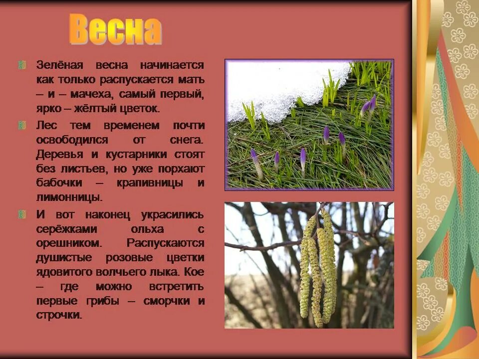 Описание весны. Сообщение о весне. Доклад о весне. Составить рассказ про весну