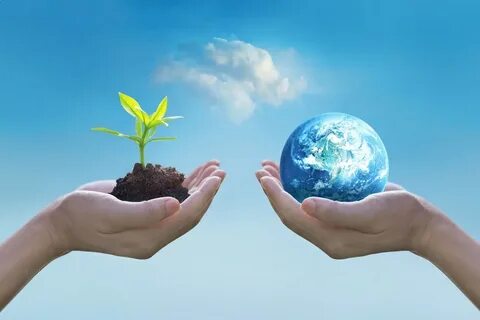 Ответственность за сохранение окружающей среды