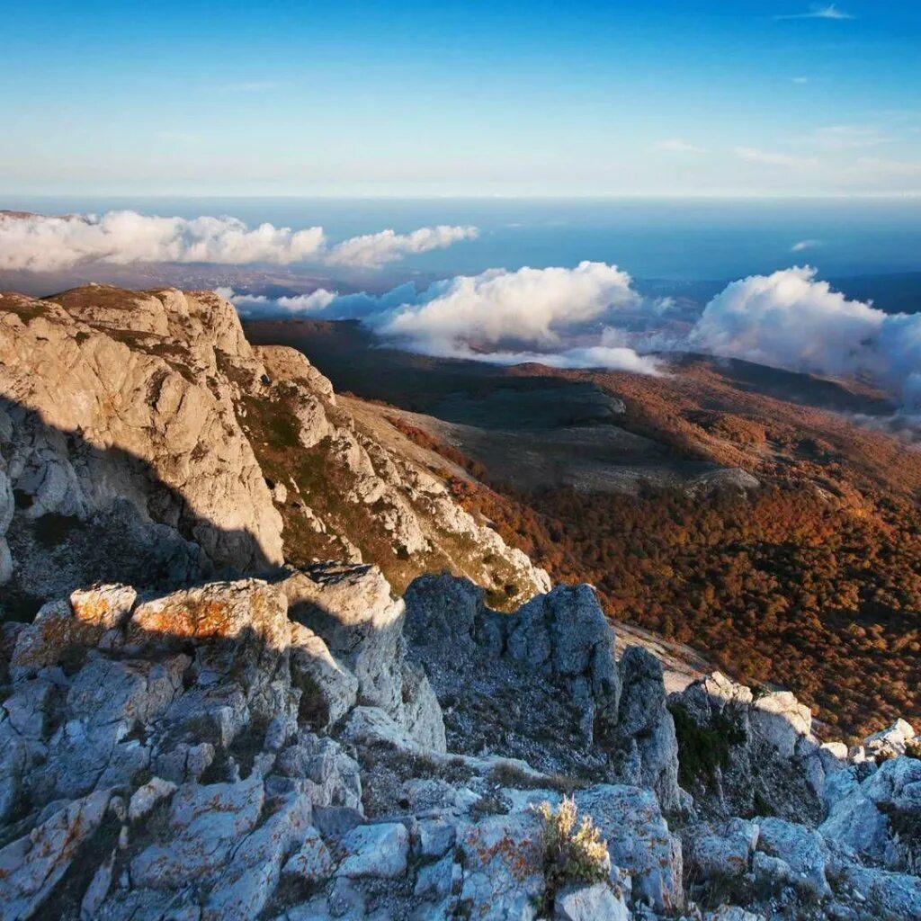 Чатыр даг где. Гора чатыр даг. чатыр даг алушта. чатыр даг гора в крыму. чатыр даг вершина.