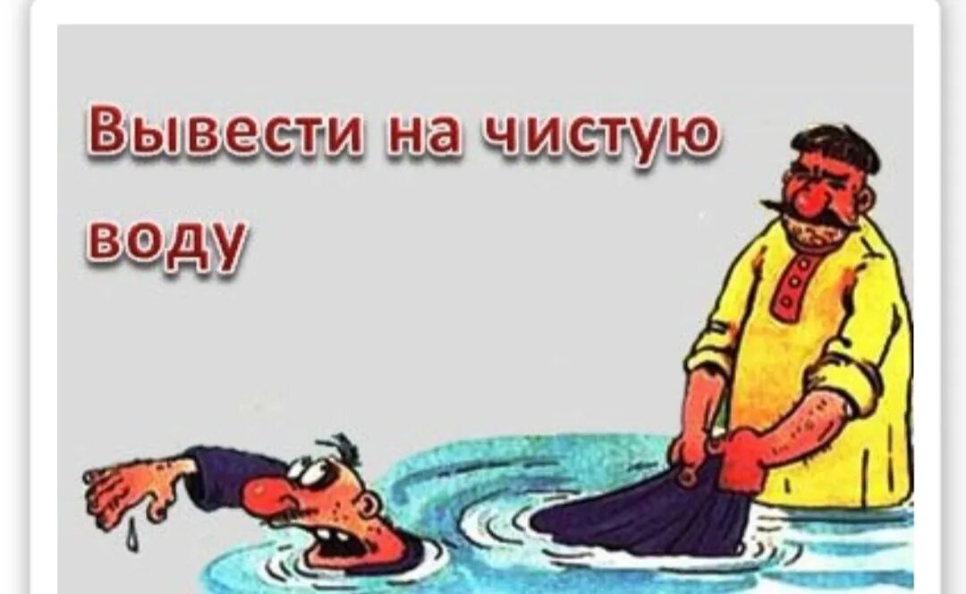 Много воды утекло значение фразеологизма. Фразеологизм выводить на чистую воду. Фразеологизм вывести на чистую воду. Вывести на чистую воду картинка к фразеологизму. Рисунок к фразеологизму вывести на чистую воду.