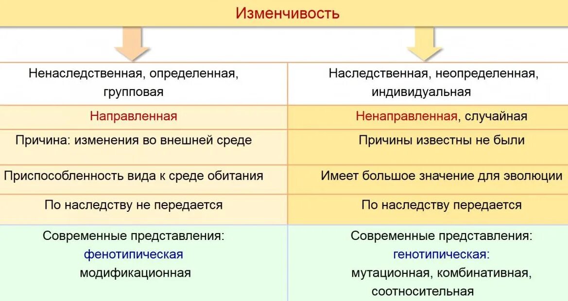 Теория дарвина движущие силы. Факторы движущие силы эволюции. Движущие силы эволюции по Дарвину. Движущие силы синтетической теории эволюции. . Основные движущие силы (факторы) эволюции по Дарвину.