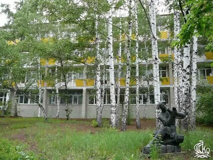 Русский бор тольятти