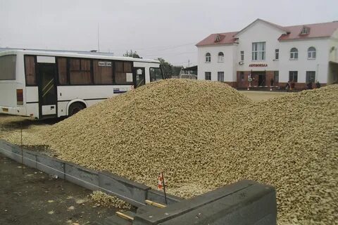 Москва тамбов северный