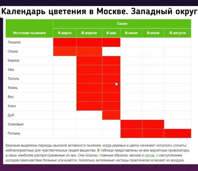 График цветения березы