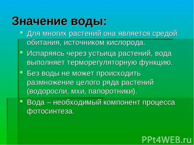 Какова роль воды в экономике окружающий мир. Значение воды для растений. Роль воды в жизни растений. Значение воды для растений и животных. Функции воды в растениях.