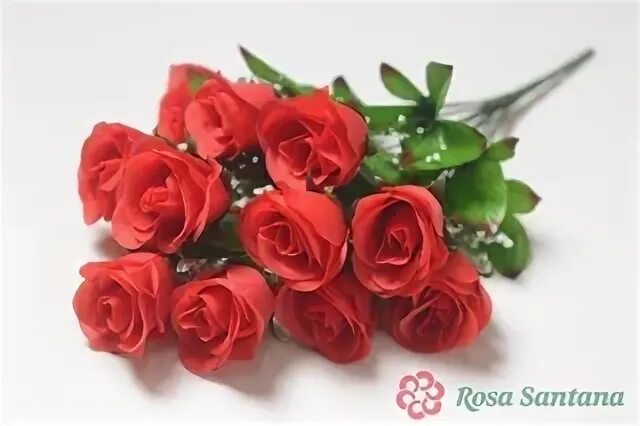 Bouquet di 12 Rose Rosse con Consegna a Domicilio Rose rosse, Mazzo di rose, Bou