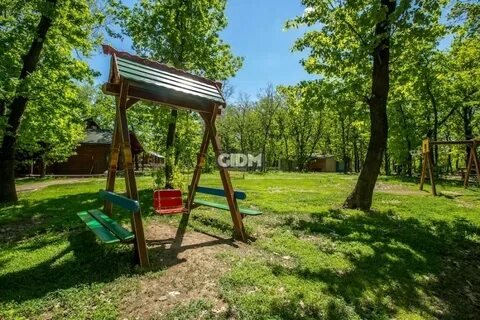 Турбаза дубовая роща волгоград
