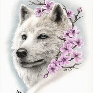 Cherry wolf