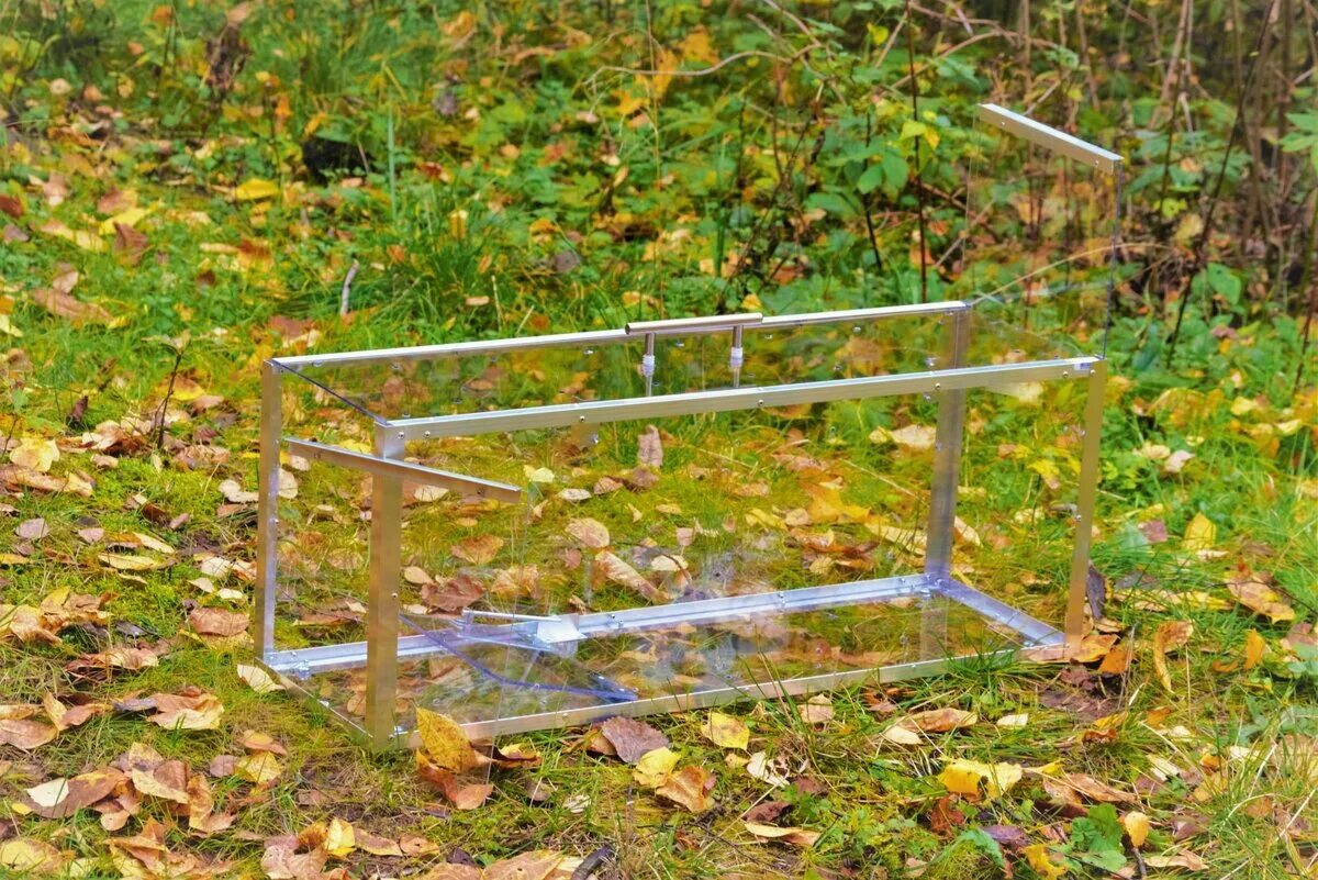 Клетка ловушка для отлова кошек. Котоловка из поликарбоната. Клетка котоловка. Прозрачная кошколовка. Котоловка.