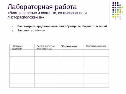 Название растения листья простые или сложные жилкование
