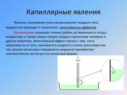Примеры капиллярных свойств