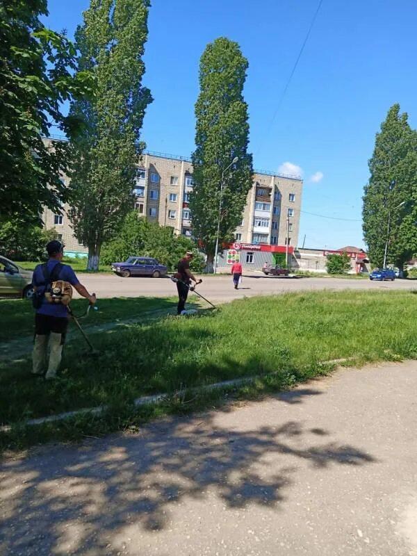 Рп ртищево. Город Ртищево Зои Космодемьянской. Улица Куйбышева Ртищево. 60 Лет октября Ртищево.