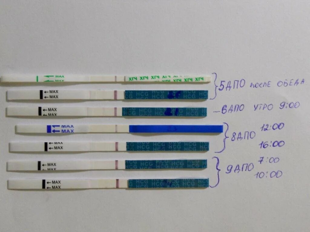 Как можно проверять тест. Когда тест покажет беременность. Тест на беременность когда. Тест не показывает беременность. На какой день тест показывает беременность.