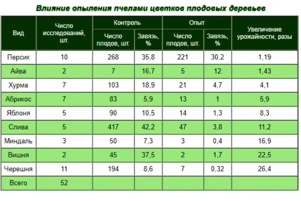 Сорта опылители хурмы. Влияние пчел на урожайность растений. Влияние опыления пчелами на урожайность. Урожайность плодовых.